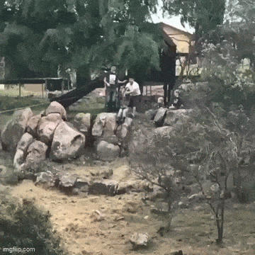 Acid GIFs, November 19 (25 gifs)