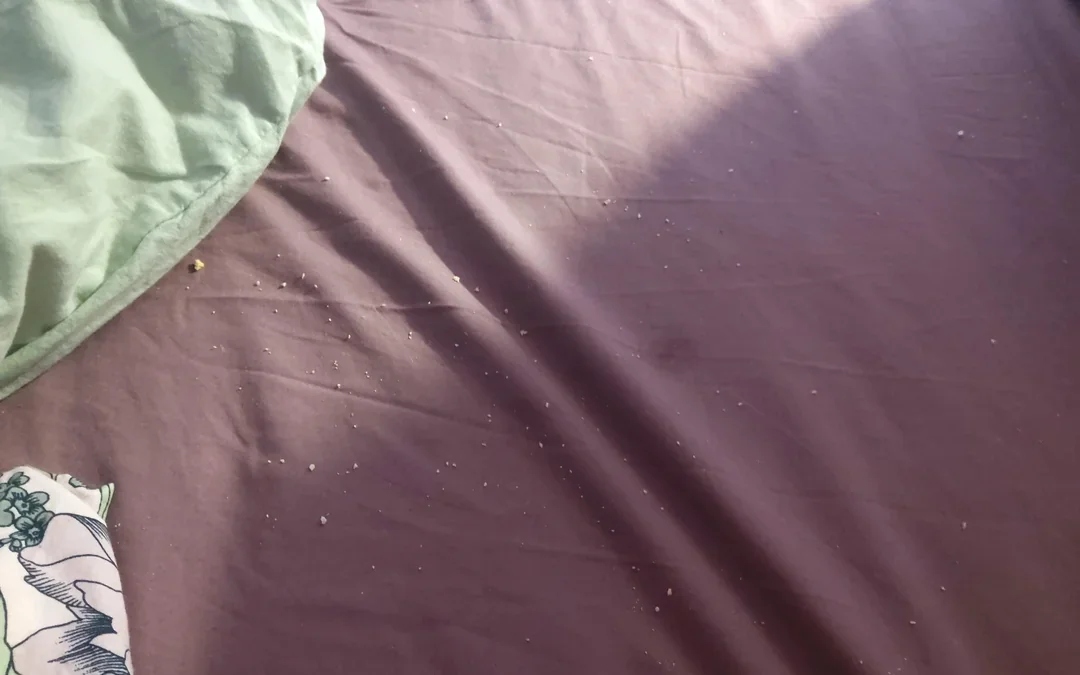 Annoying Finds (16 pics)