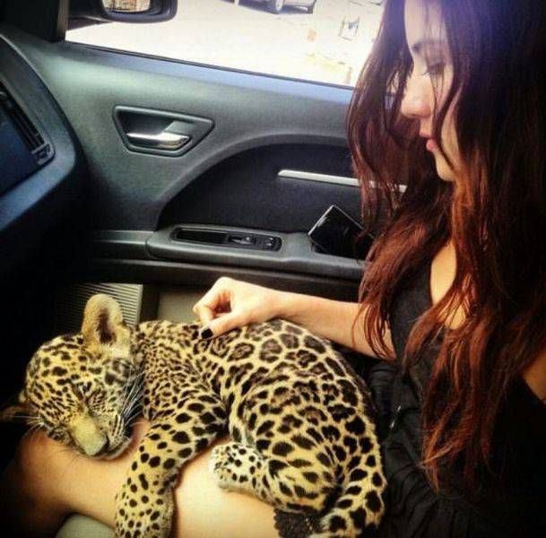 Daily Pictures. Part 1 (63 pics)