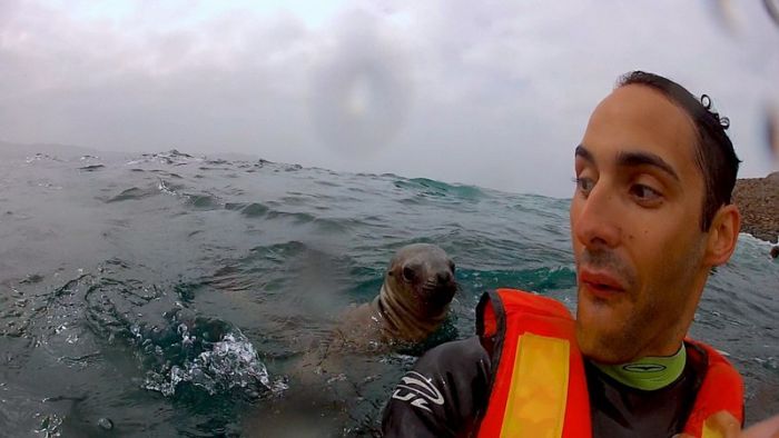 Daily Pictures. Part 1 (63 pics)