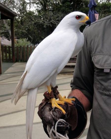 Daily Pictures. Part 1 (63 pics)