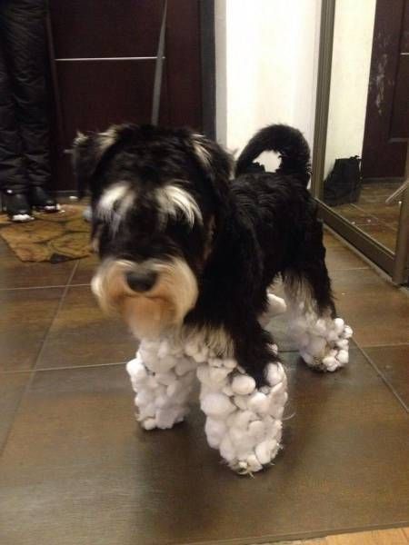 Daily Pictures. Part 1 (63 pics)