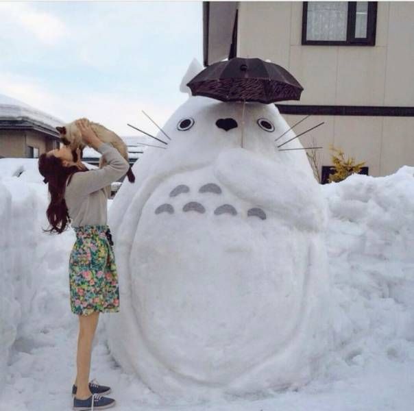 Daily Pictures. Part 1 (63 pics)