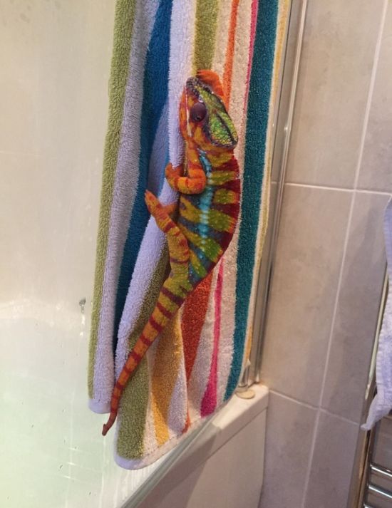 Daily Pictures. Part 1 (63 pics)