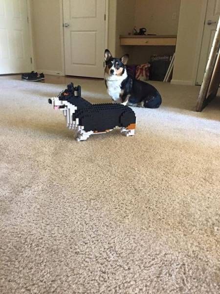 Daily Pictures. Part 1 (63 pics)