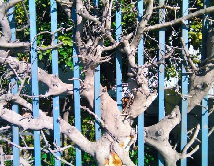 Daily Pictures. Part 1 (63 pics)