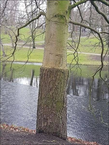 Daily Pictures. Part 2 (62 pics)