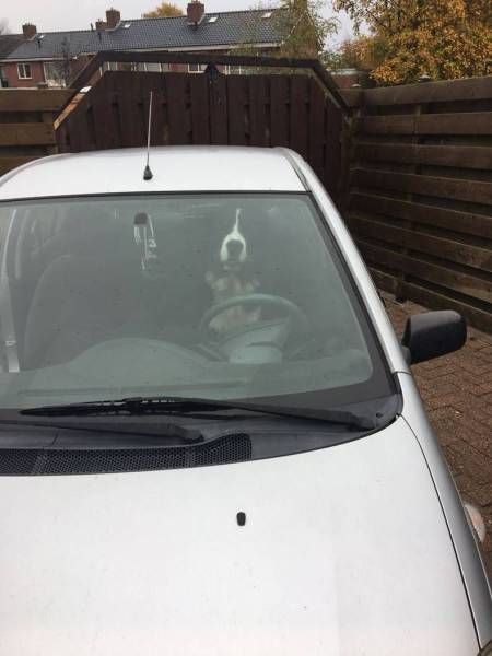 Daily Pictures. Part 1 (63 pics)