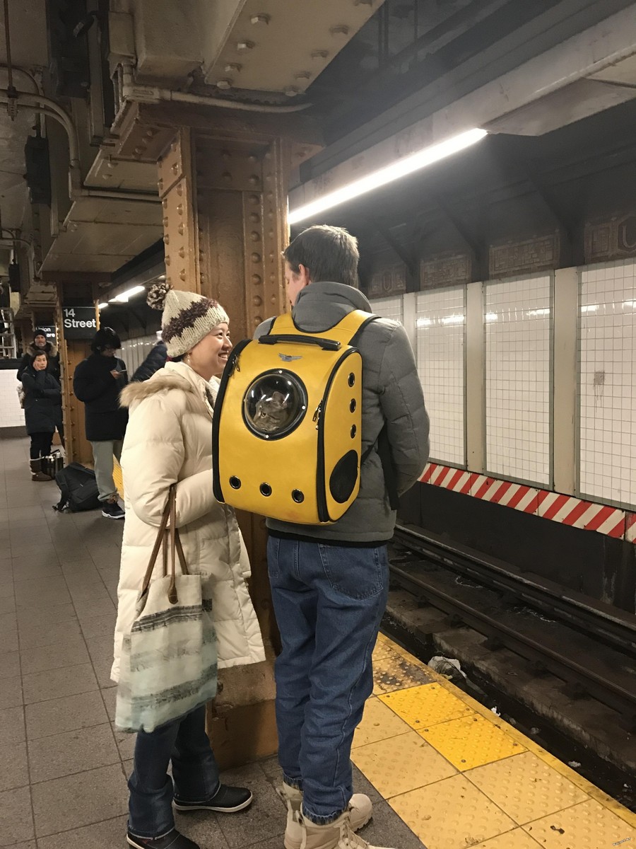 Daily Pictures. Part 2 (62 pics)