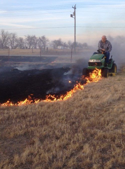 Daily Pictures. Part 2 (62 pics)