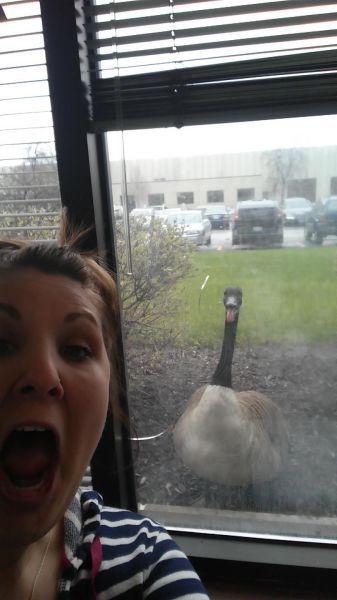 Daily Pictures. Part 1 (63 pics)