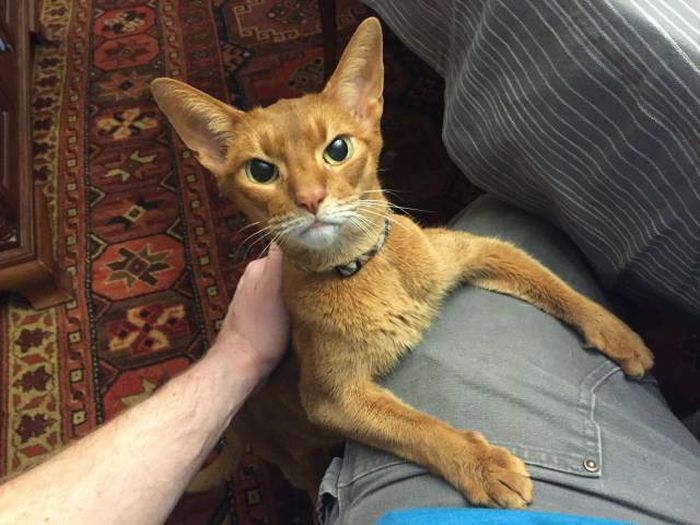 Daily Pictures. Part 1 (63 pics)