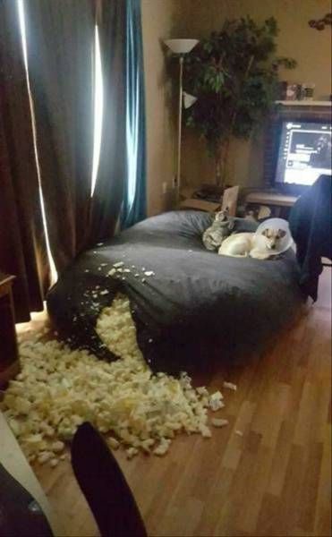 Daily Pictures. Part 2 (62 pics)