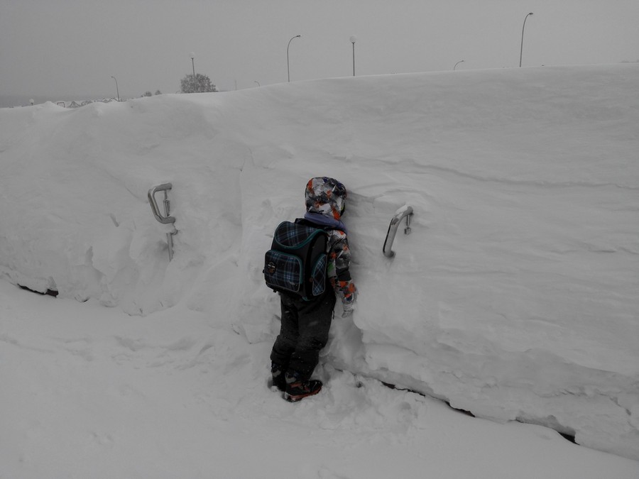 Daily Pictures. Part 2 (62 pics)