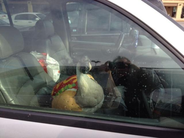 Daily Pictures. Part 2 (62 pics)