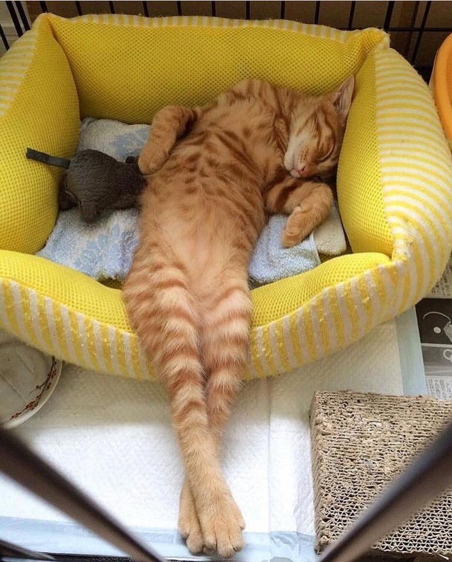 Daily Pictures. Part 2 (62 pics)