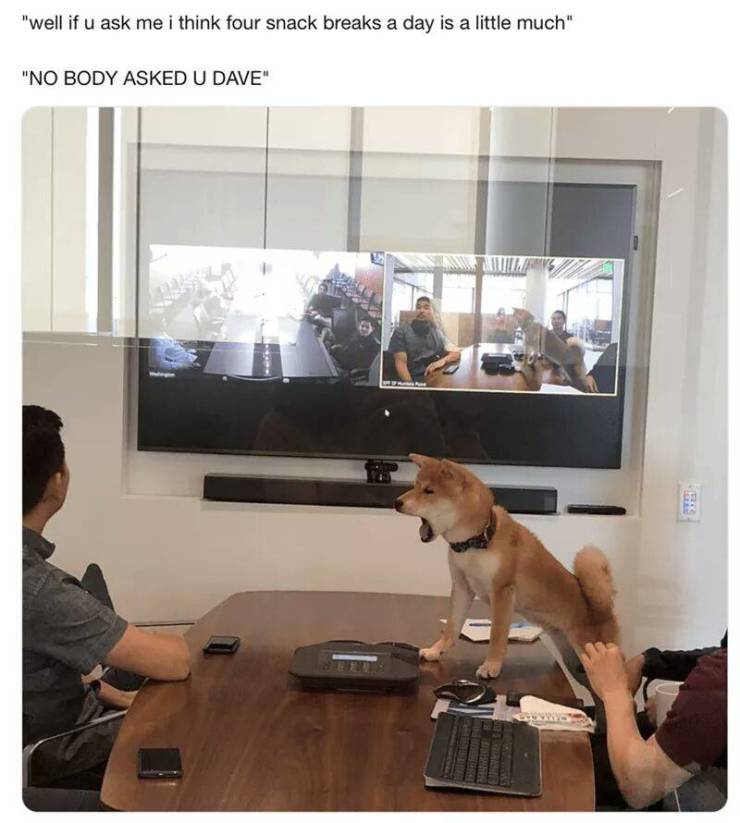 Daily Pictures. Part 2 (62 pics)