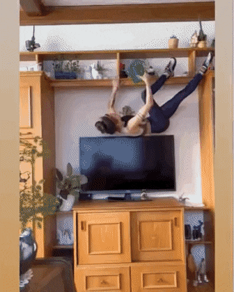 Acid GIFs, November 20 (25 gifs) Acid GIFs, November 20 (25 gifs)