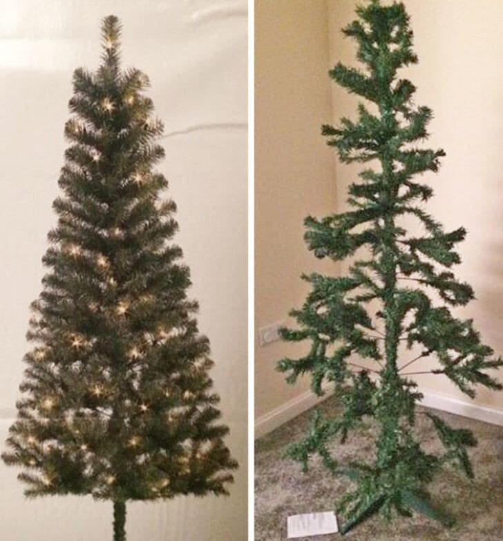 Failed Online Shopping (25 pics)