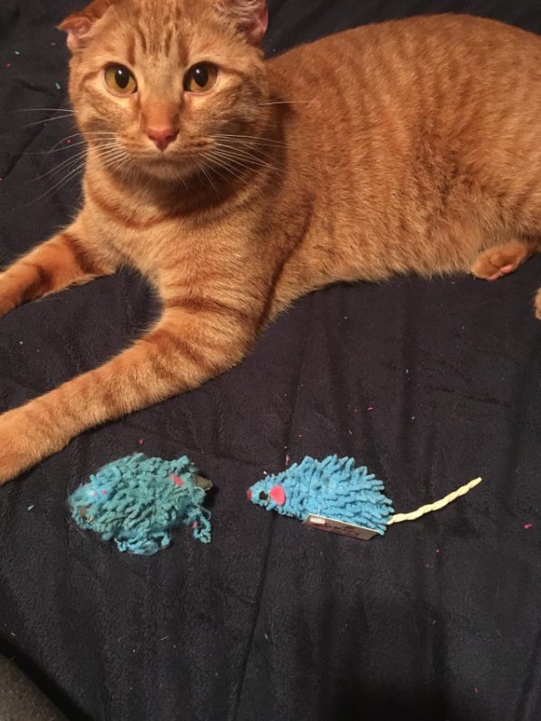 Time Changes Everything (22 pics)