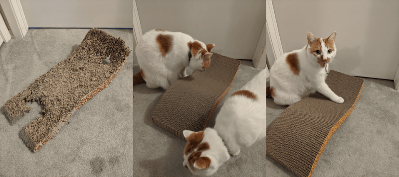 Time Changes Everything (22 pics)