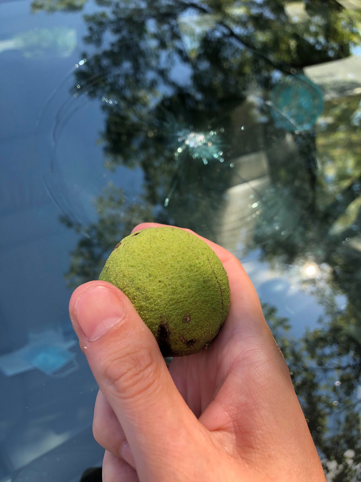 Unfortunate Situations (31 pics) Unfortunate Situations (31 pics)