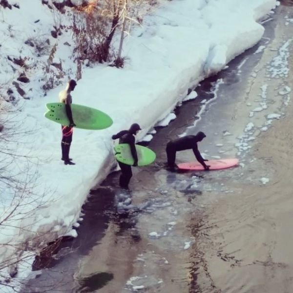 Daily Pictures. Part 1 (66 pics)