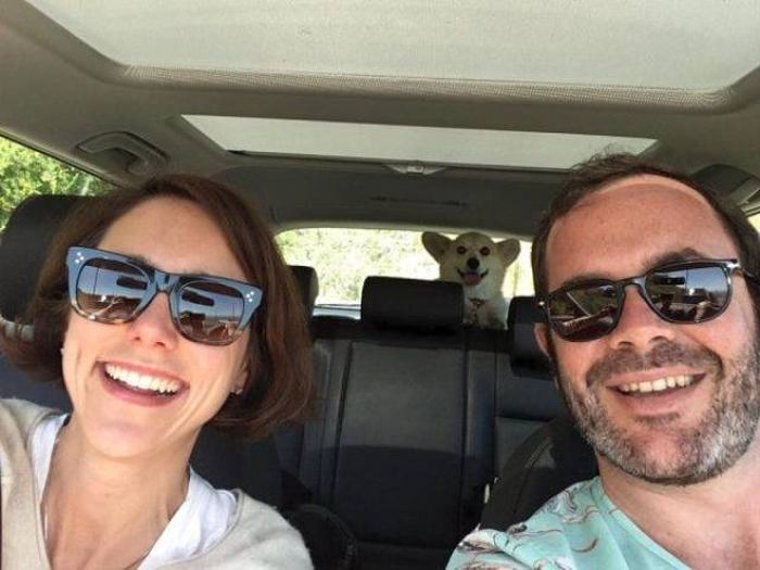 Daily Pictures. Part 1 (66 pics)