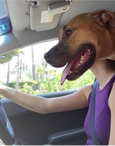 Daily Pictures. Part 1 (66 pics)