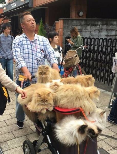 Daily Pictures. Part 1 (66 pics)