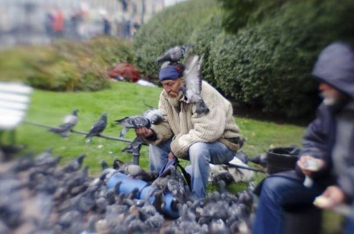 Daily Pictures. Part 1 (66 pics)