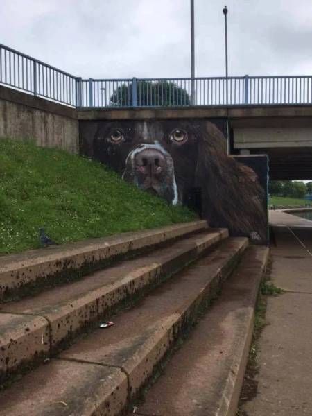 Daily Pictures. Part 1 (66 pics)