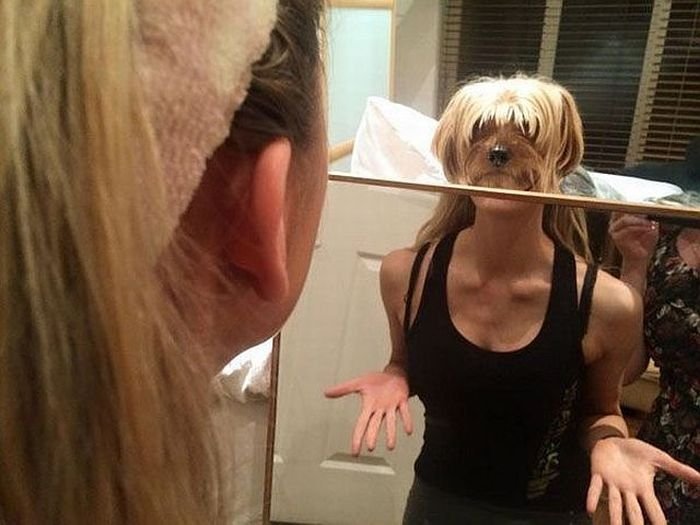 Daily Pictures. Part 1 (66 pics)