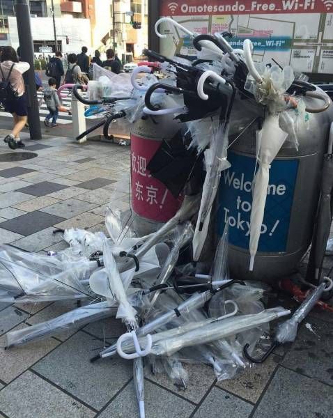 Daily Pictures. Part 1 (66 pics)