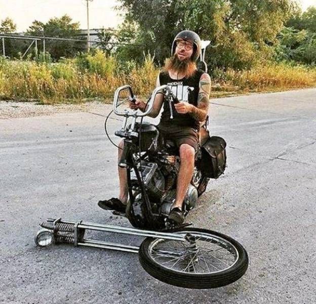 Daily Pictures. Part 1 (66 pics)