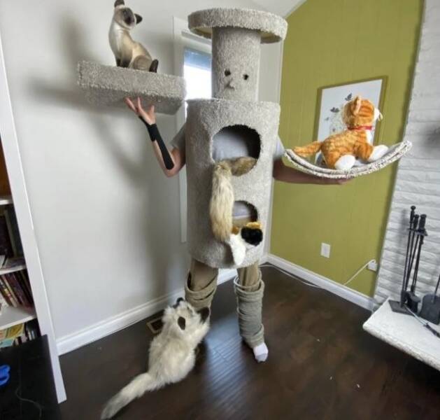 Daily Pictures. Part 2 (65 pics)