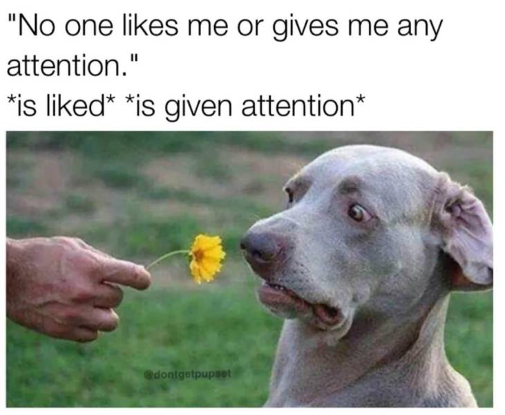 Daily Pictures. Part 2 (65 pics)