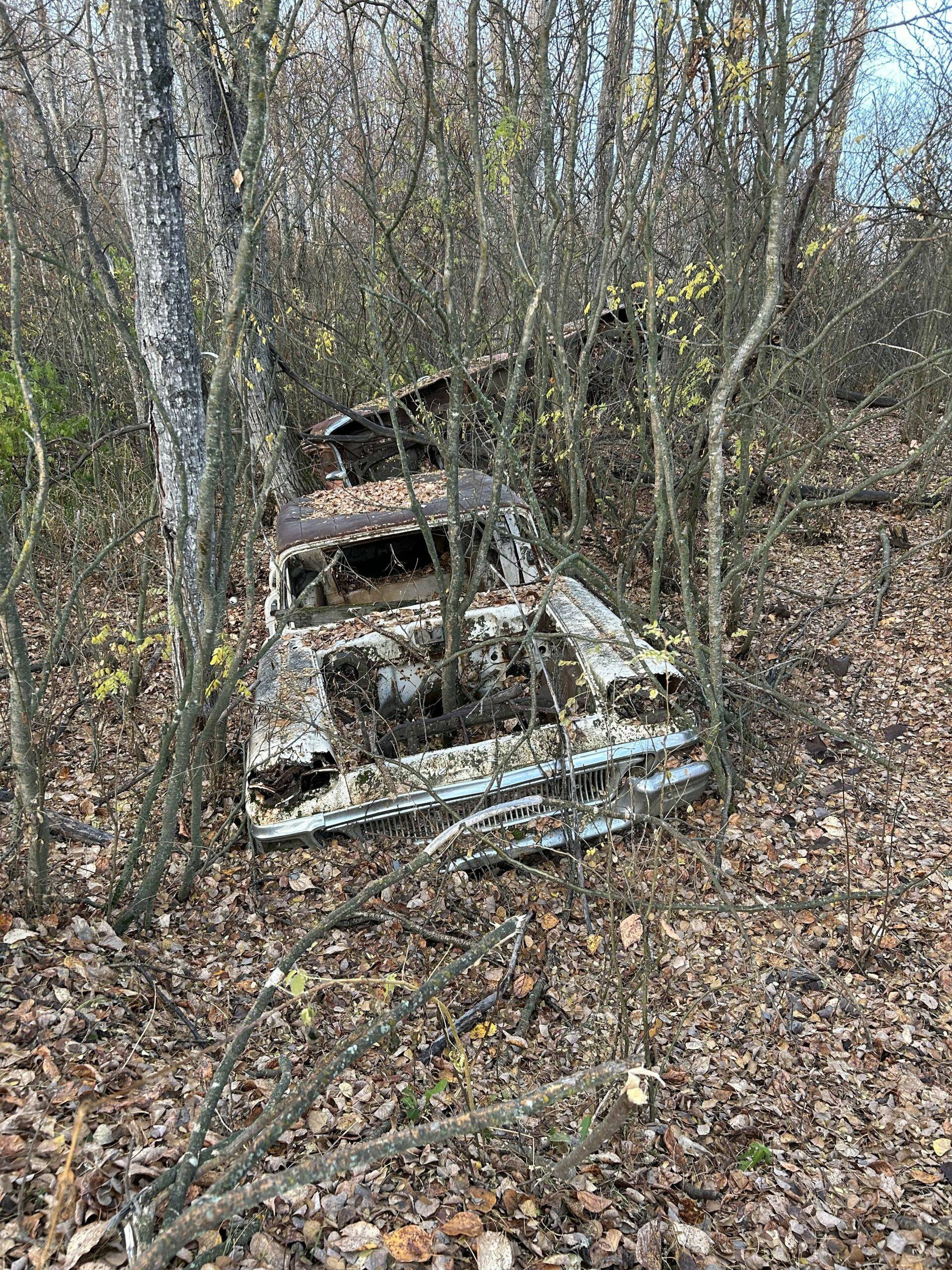 Daily Pictures. Part 2 (65 pics)