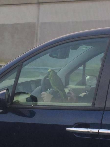 Daily Pictures. Part 2 (65 pics)