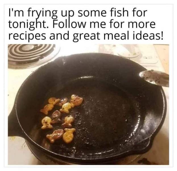 Daily Pictures. Part 2 (65 pics)