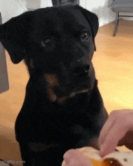 Acid GIFs, November 21 (25 gifs)