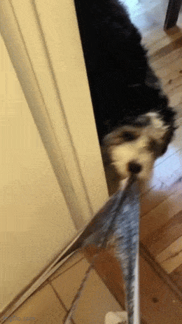 Acid GIFs, November 21 (25 gifs)