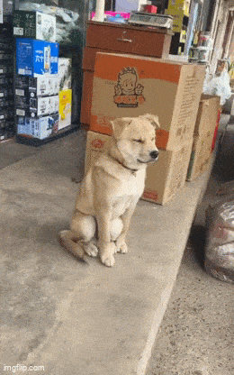 Acid GIFs, November 21 (25 gifs)