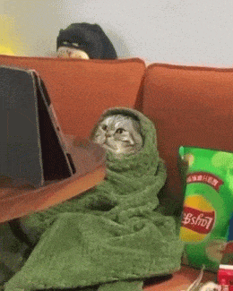 Acid GIFs, November 21 (25 gifs)