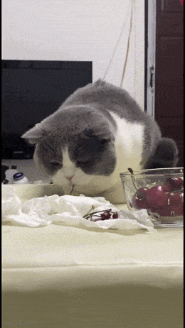 Acid GIFs, November 21 (25 gifs)