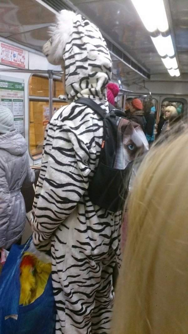 Strange People In The Subway (21 pics)