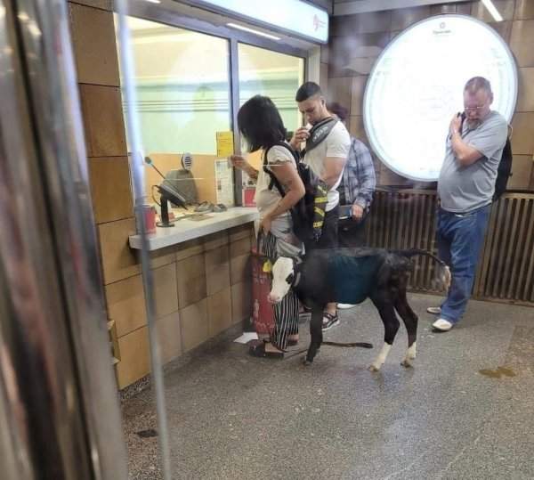 Strange People In The Subway (21 pics)