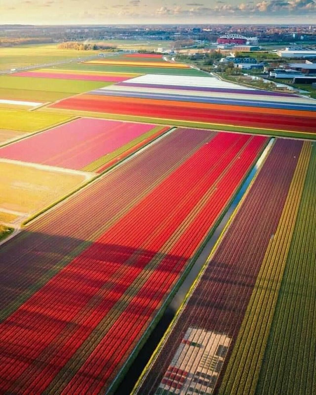 Photos For Perfectionists (21 pics)