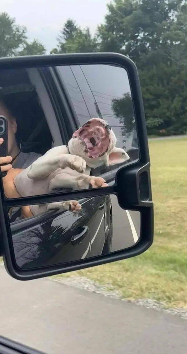 Daily Pictures. Part 1 (64 pics)