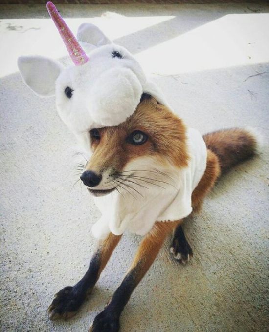 Daily Pictures. Part 1 (64 pics)